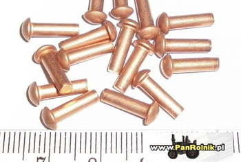 Nit 3 mm x 10 mm nit do tabliczek znamionowych (miedziany)