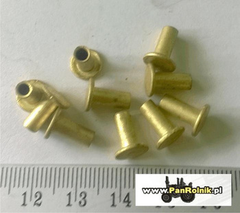 Nit 4 mm x 10 mm nit mosiężny do tabliczki znamionowej
