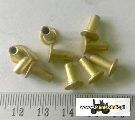 Nit 4 mm x 10 mm nit mosiężny do tabliczki znamionowej
